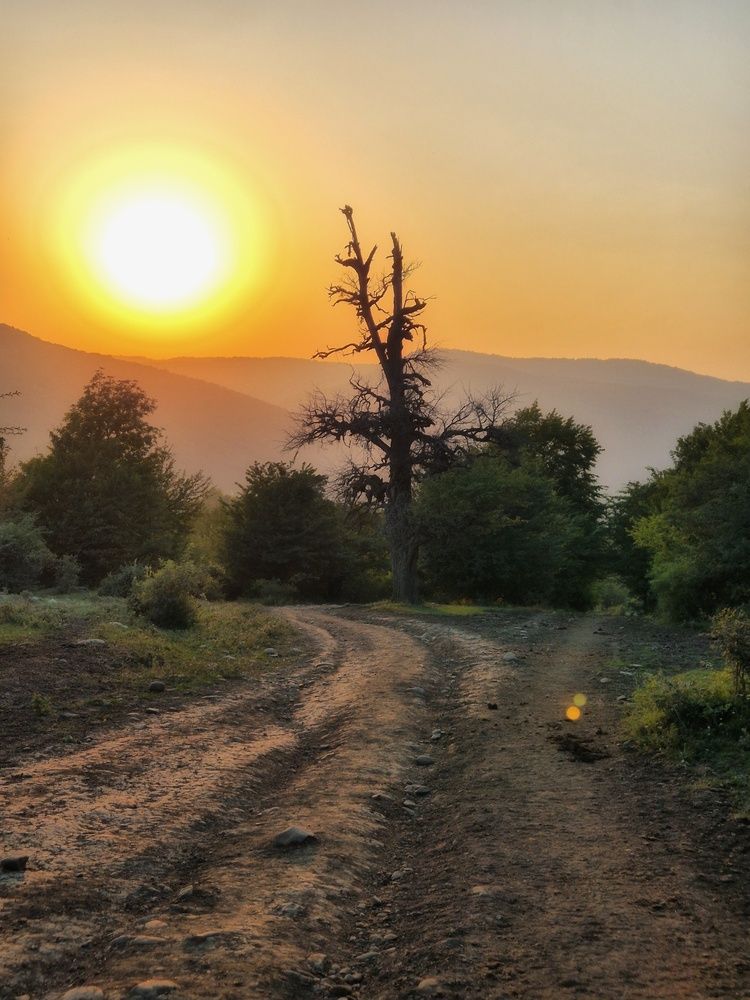 Photograph by Ульяна Митрофанова