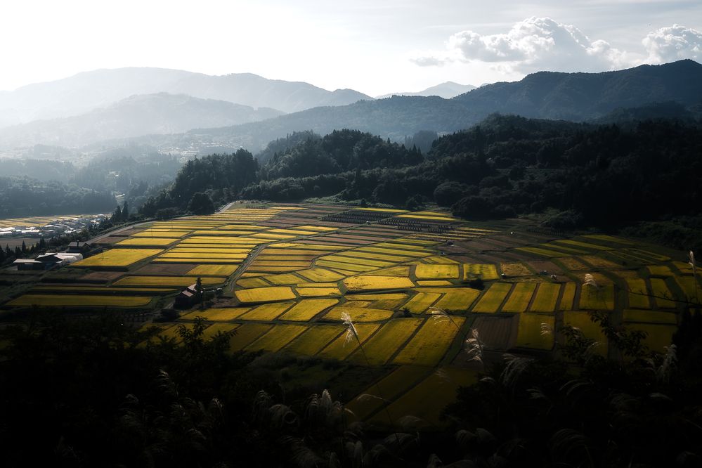 Фотография автора i_ ha__to