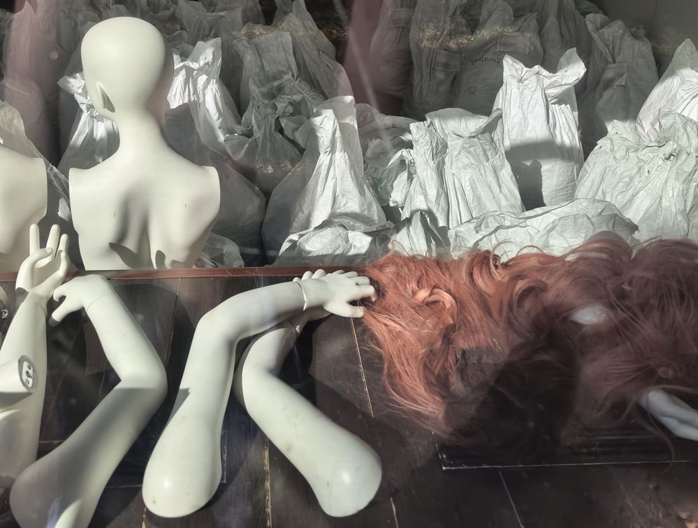 Фотография автора Елена