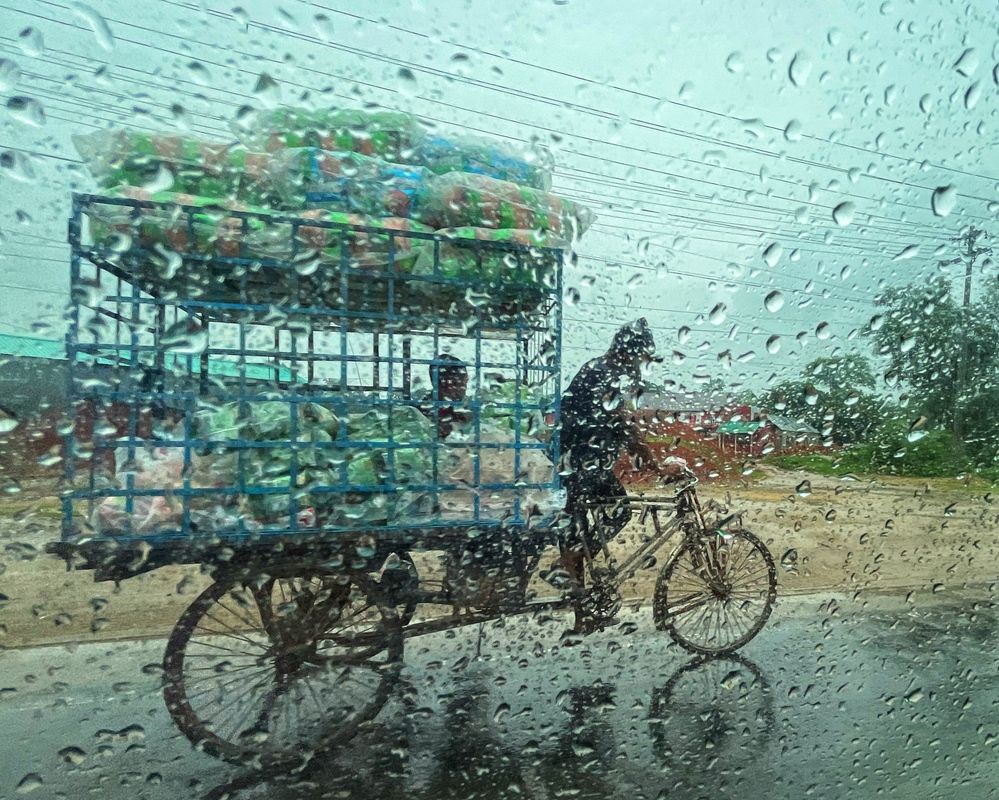 Фотография автора Washiful Majid