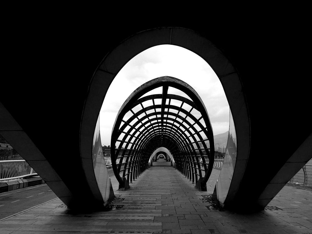 Фотография автора Abdolreza Aleagha