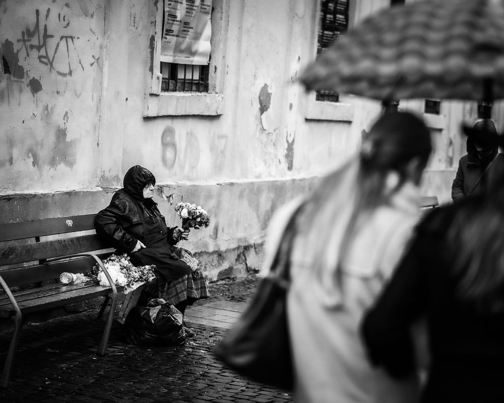 Photograph by Alexandru Tomici