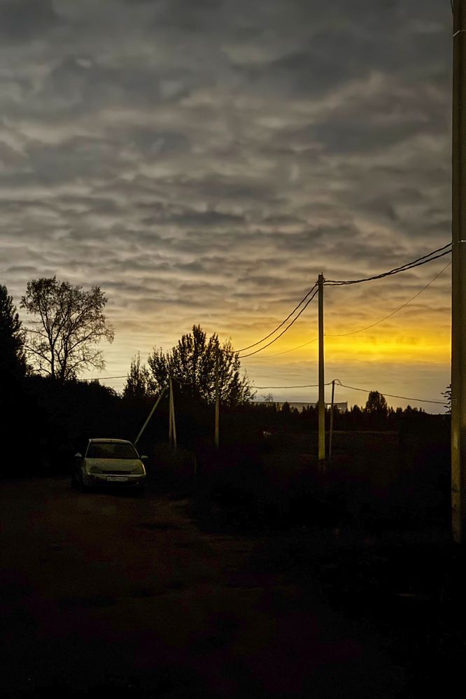 Photograph by Elena Savchuk