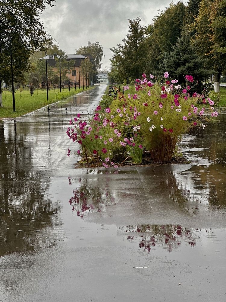 Photograph by Анастасия Шутеева