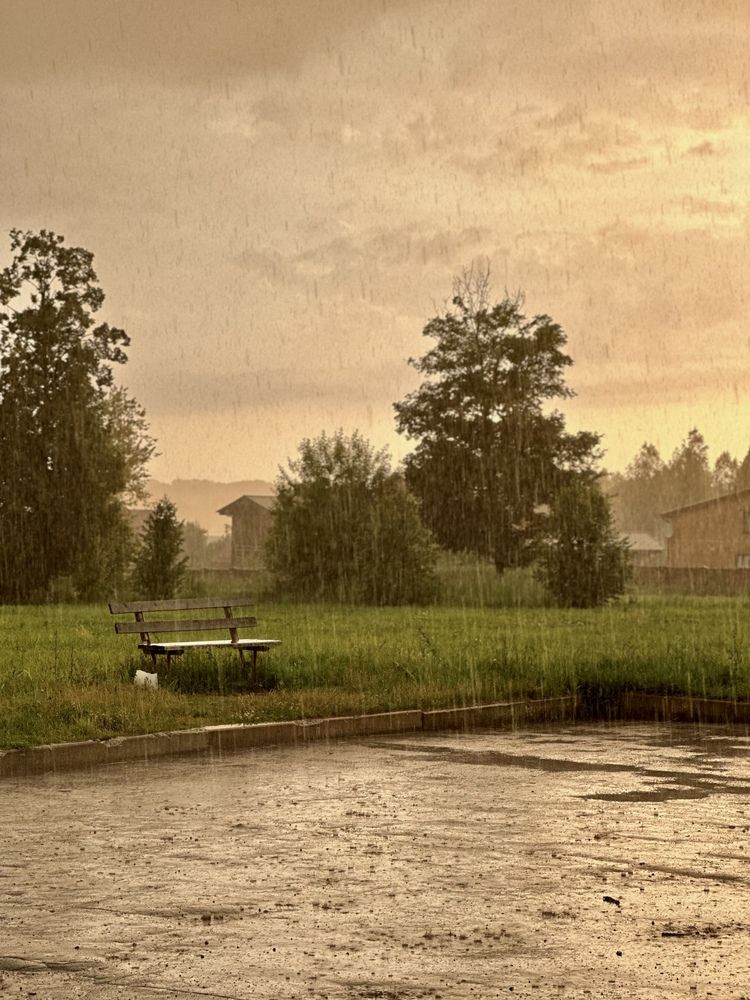 Летний ливень.