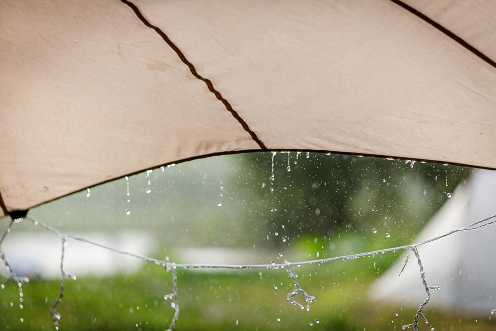 Фотография автора Наволокин Михаил