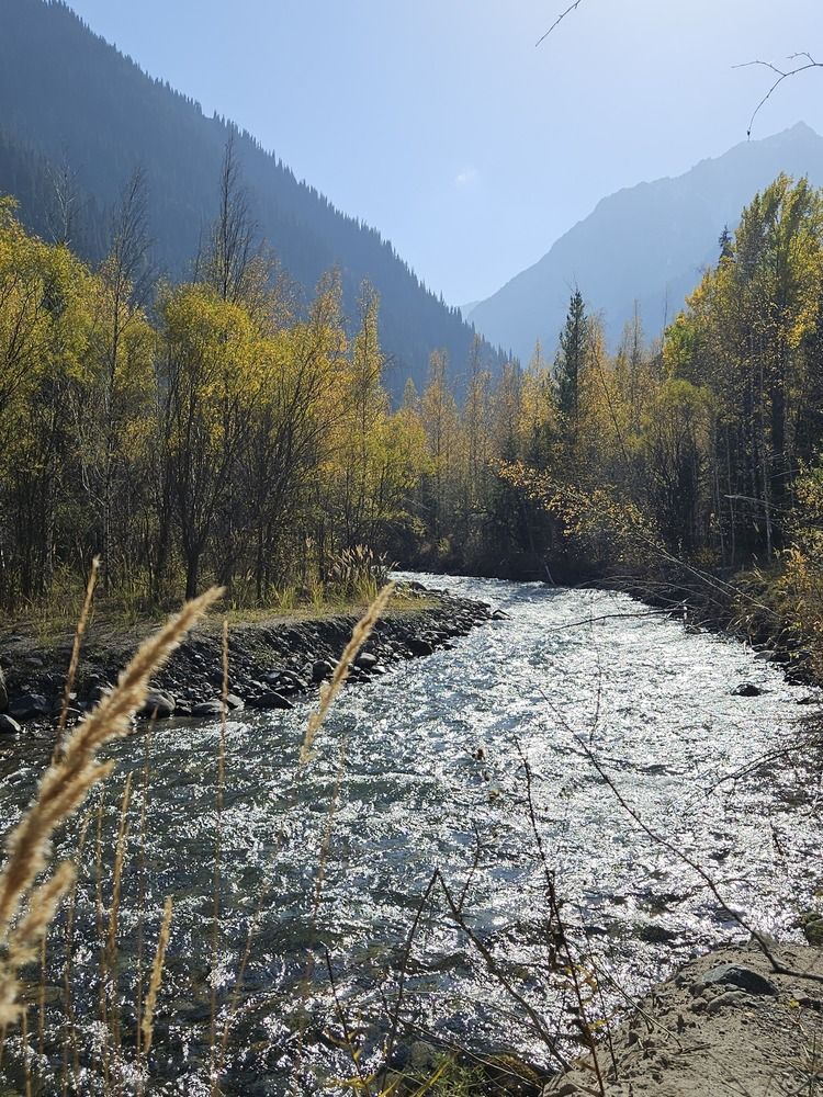 Photograph by Эльвира