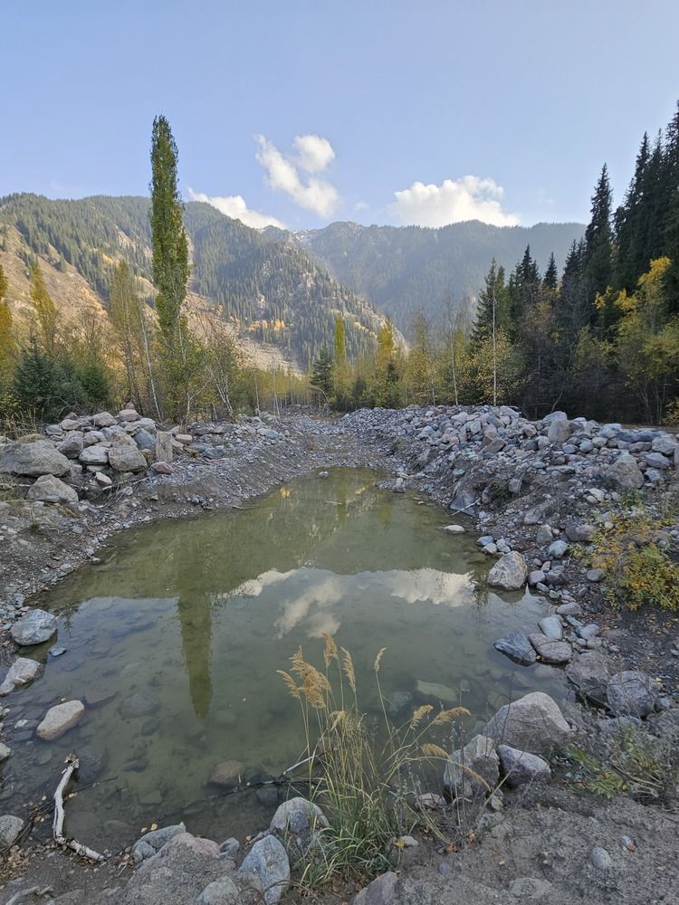 Photograph by Эльвира