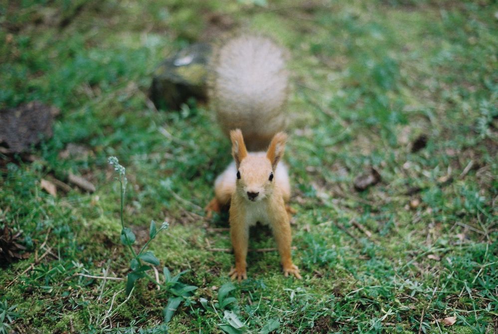 Photograph by Сергей Данилов