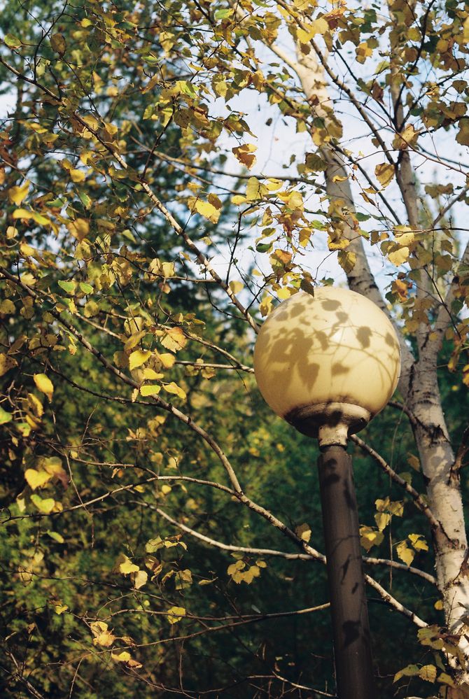 Photograph by Сергей Данилов