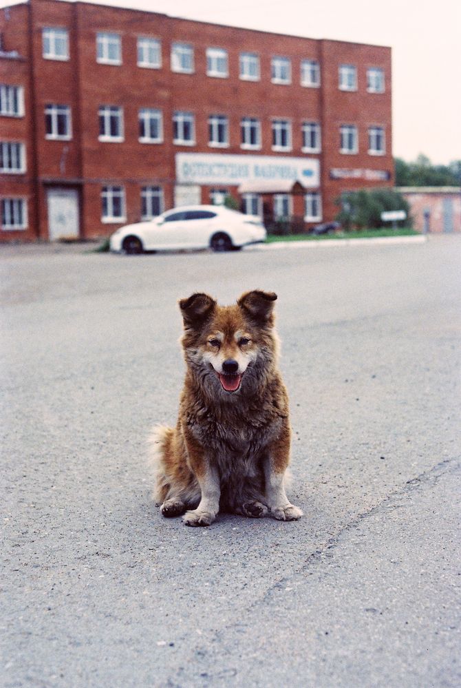 Photograph by Сергей Данилов