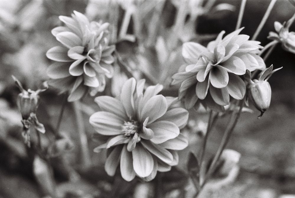 Photograph by Сергей Данилов