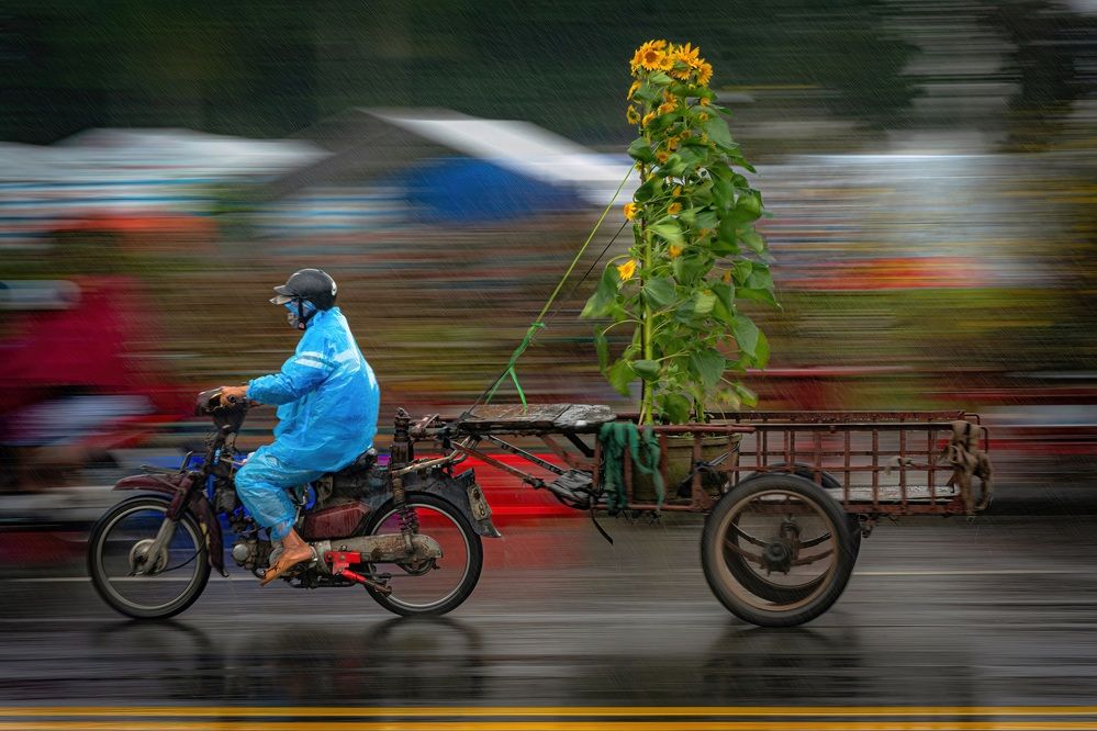 Photograph by Cao Alex