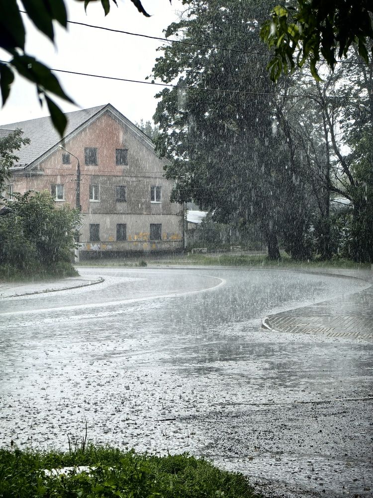 Photograph by Елена Акимова