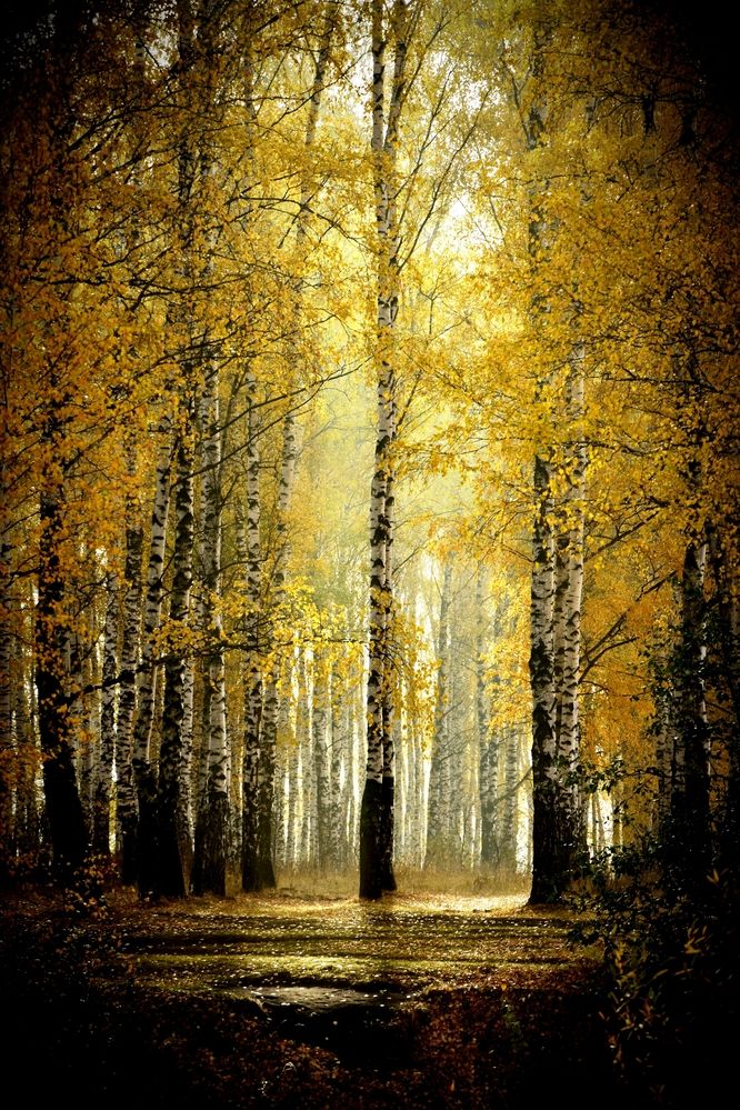 Photograph by Валерий Гудков