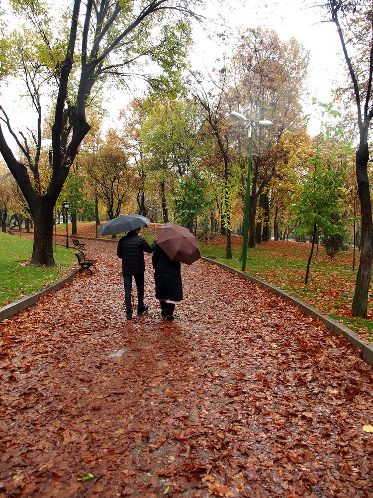 Photograph by Abdolreza Aleagha