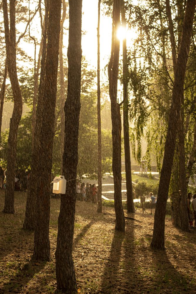 Photograph by АЛЛА ТАРАСЕНКО