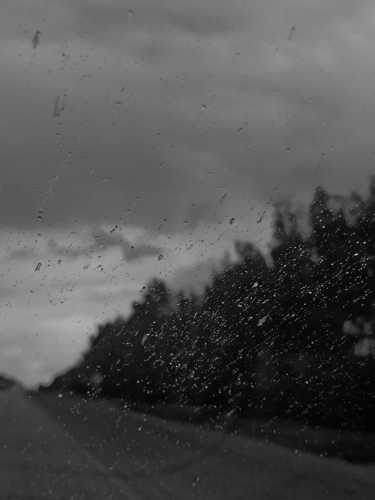 Photograph by АЛЛА ТАРАСЕНКО