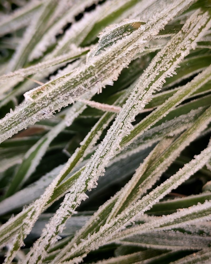 Первый иний