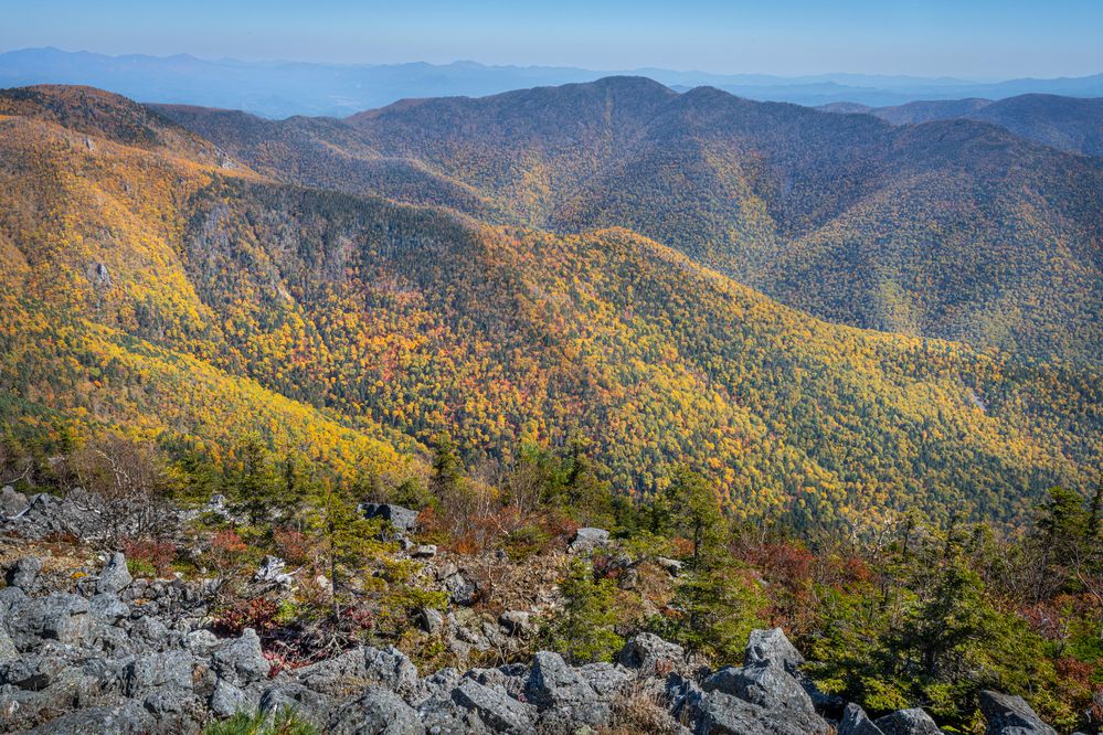 Photograph by Ольга Мусиенко