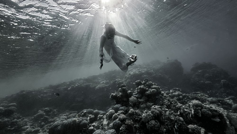 Photograph by Игорь Чернышов