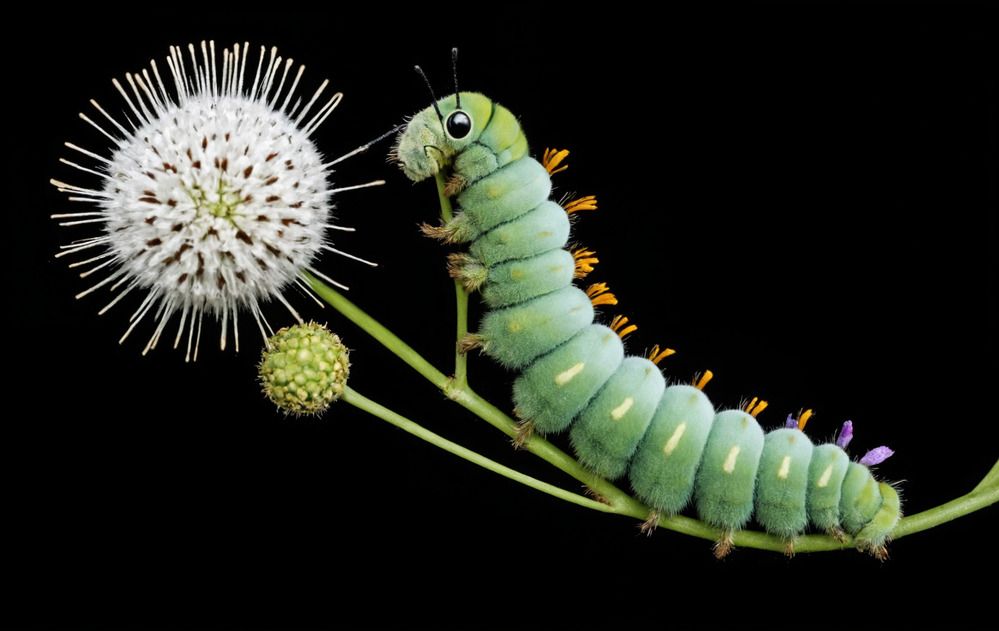 Photograph by Максимов Алексей