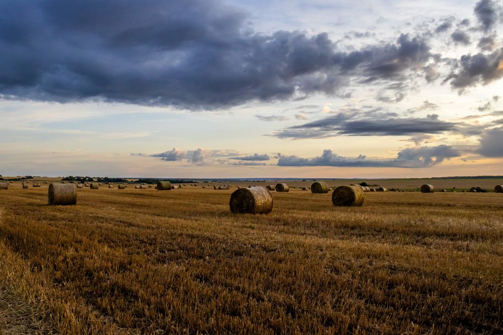 Photograph by Александр Голиков