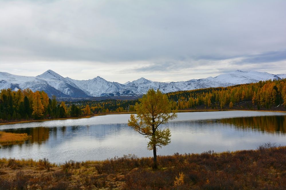 Photograph by Самигулов Хафиз