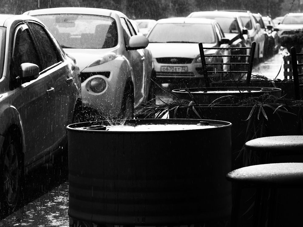 Photograph by Александр Луппов