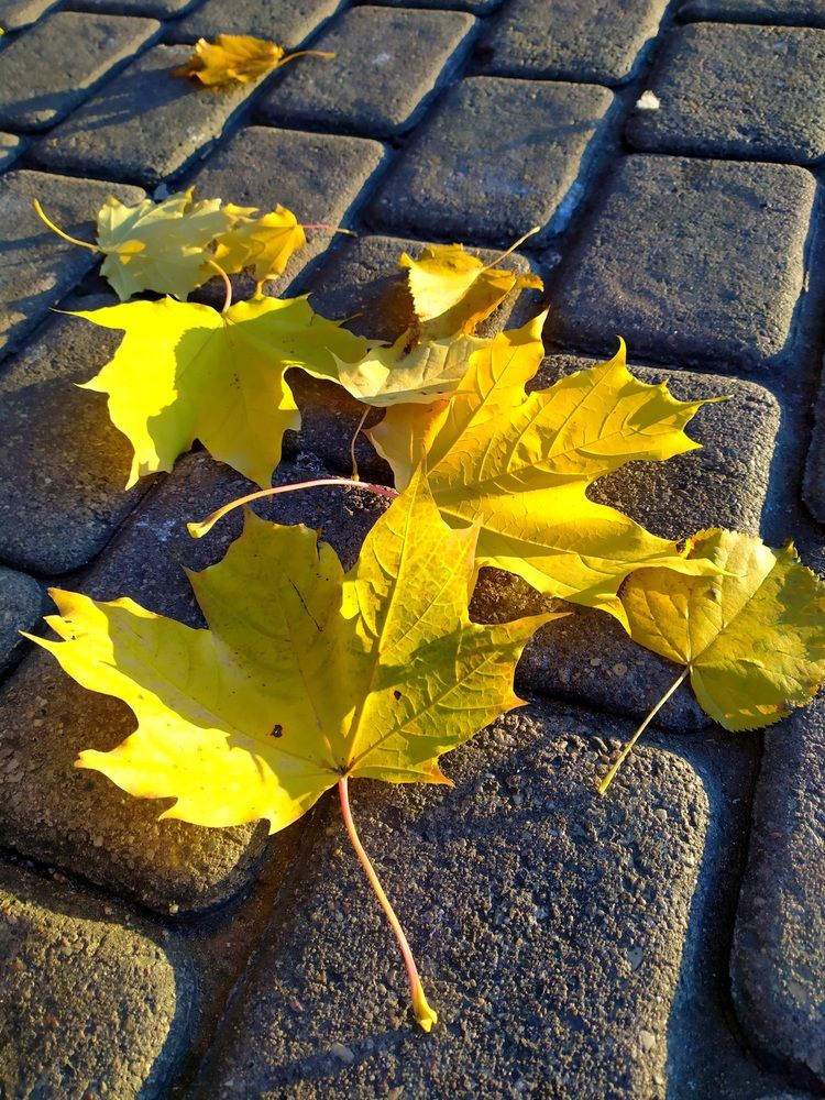 Photograph by Колесов Сергей