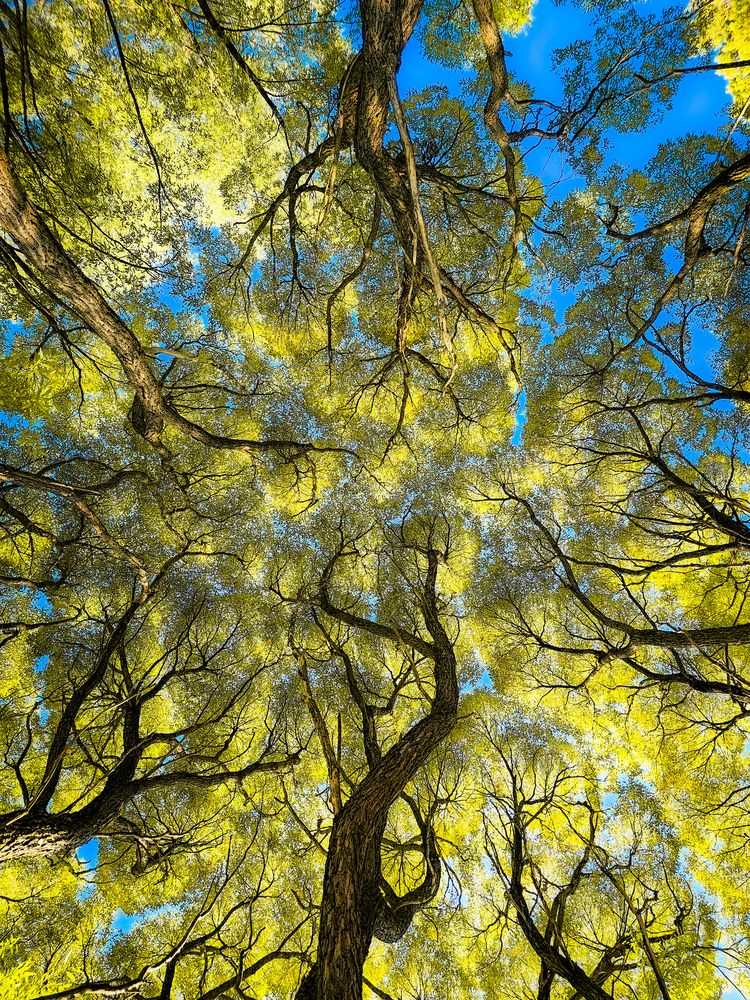 Photograph by Сергей Кесаев