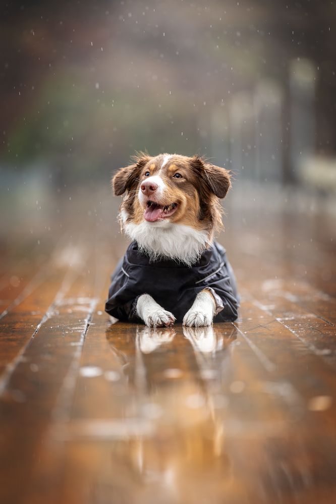 Photograph by Ирина Голомб