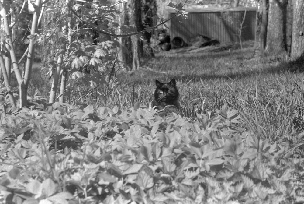 Photograph by Родион Романович Р
