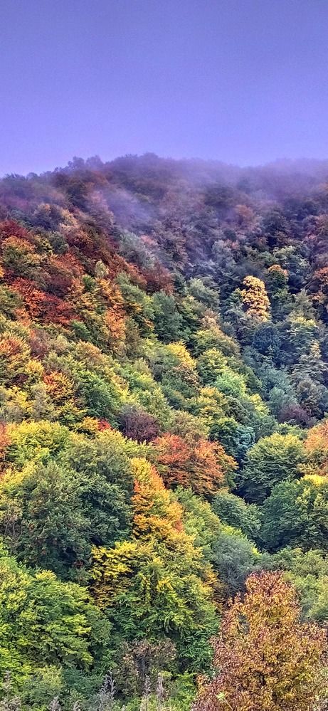 Photograph by Олег Карданов