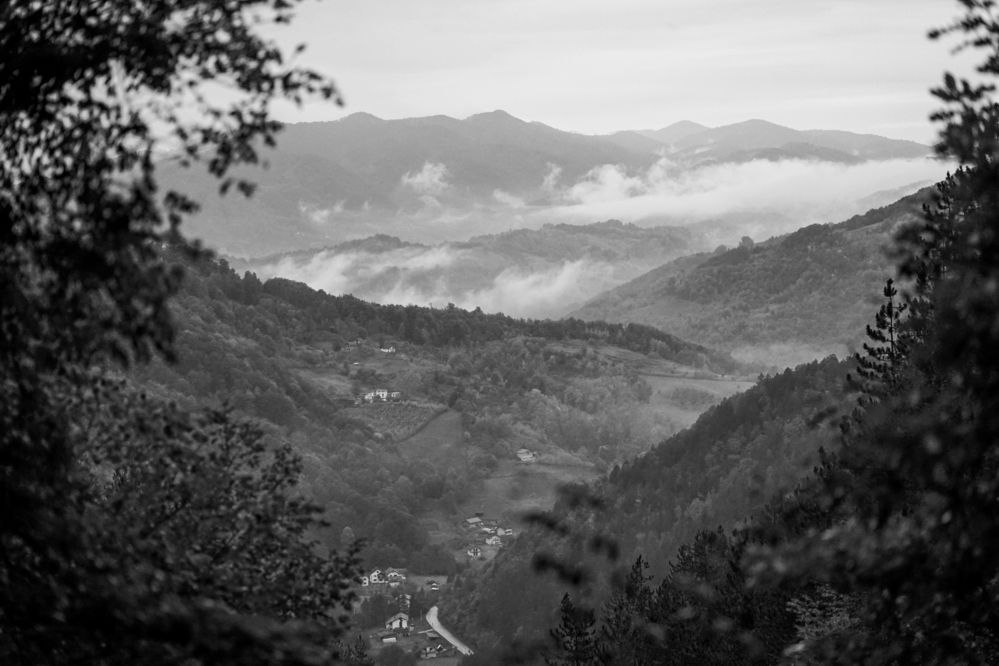 Photograph by Željka Miljić