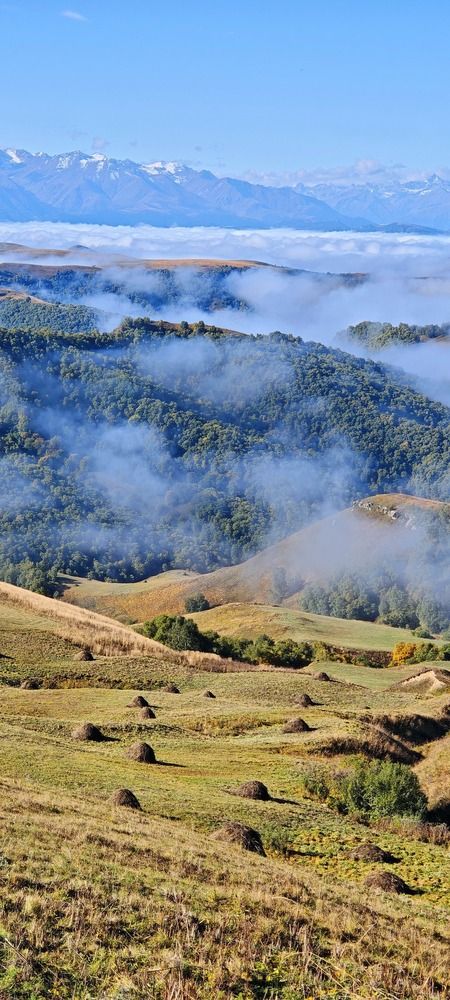 Photograph by Олег Карданов