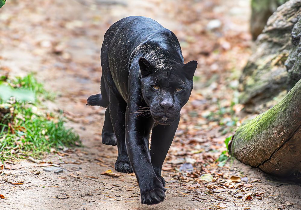 Photograph by Михаил Измайлов