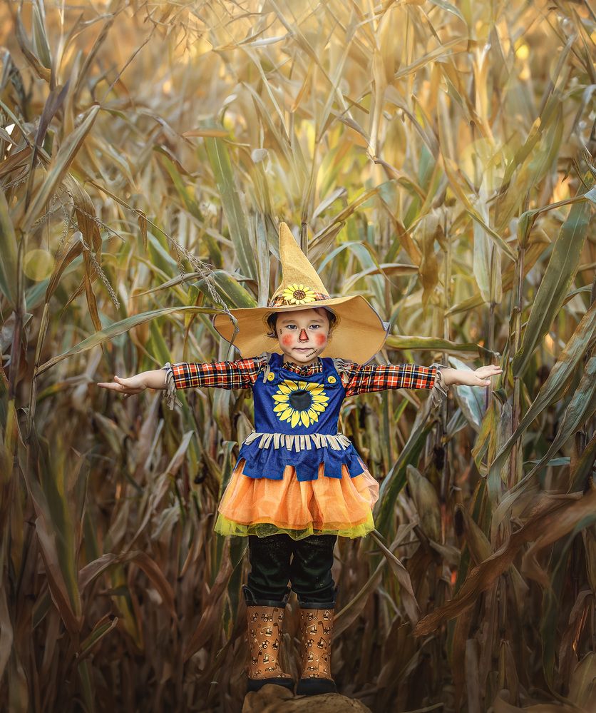 Photograph by Meilleurs Moments