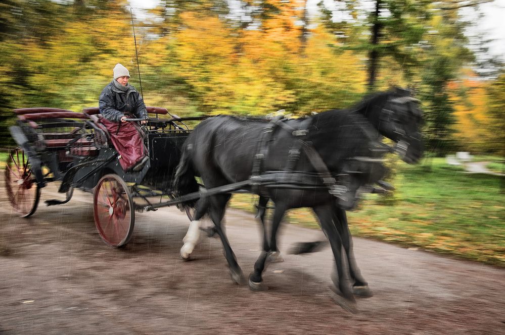 Photograph by Алексей Козлов