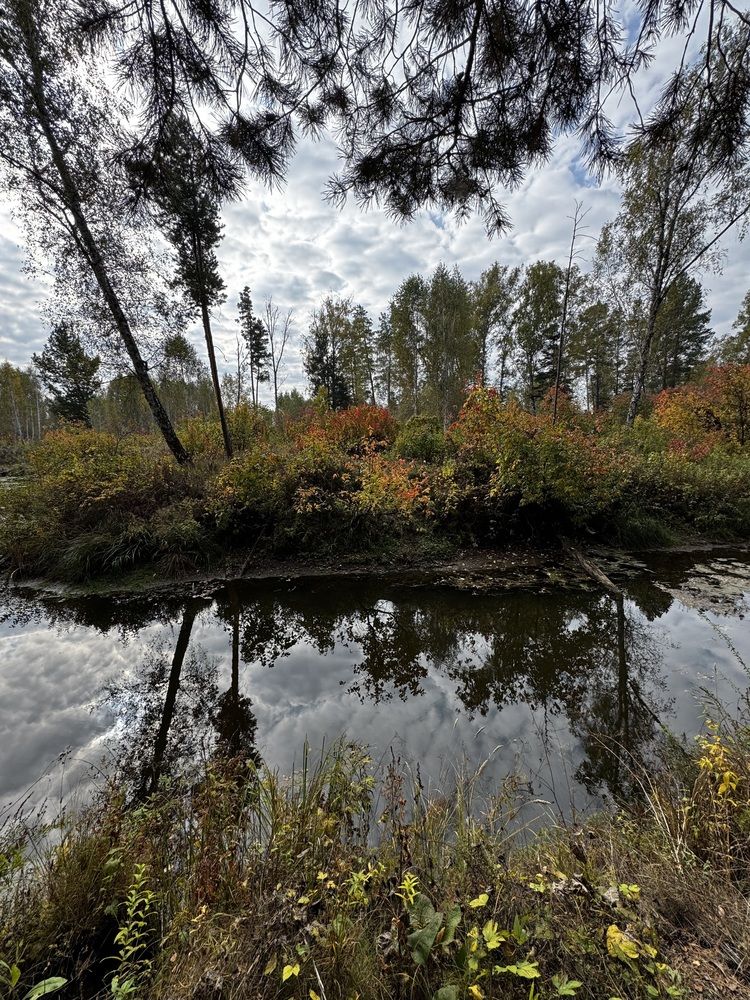 Photograph by Сергей Хранитель