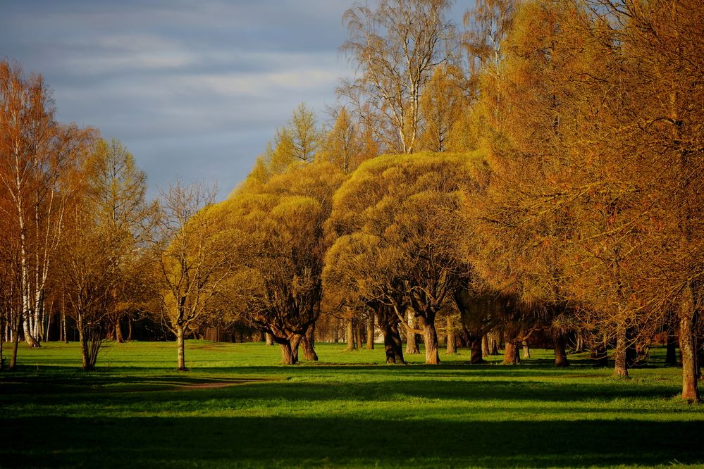 Photograph by Яна Егорова