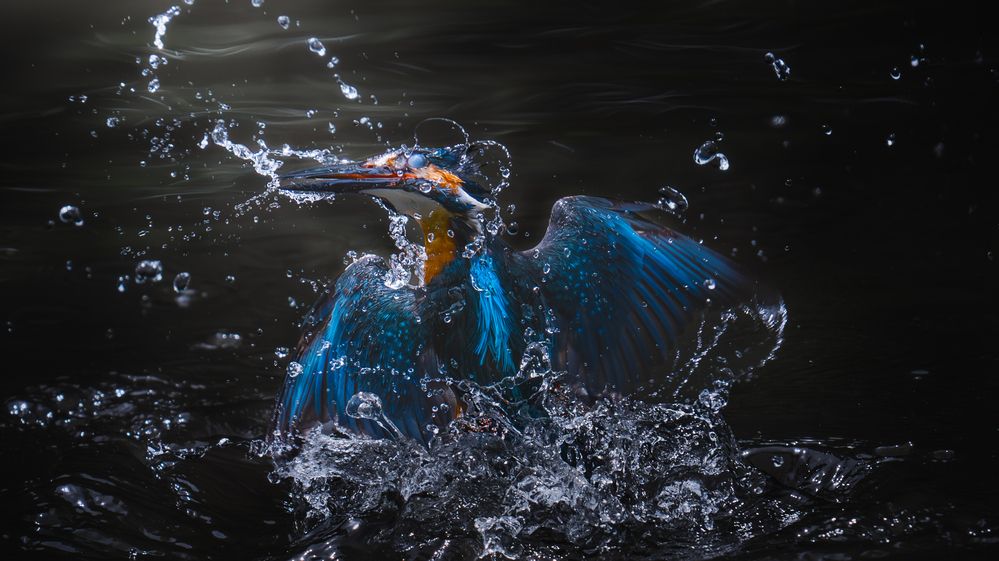 Photograph by 矢嶋 智康