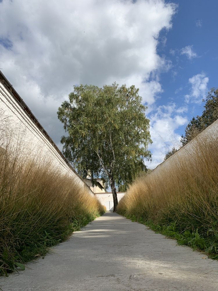 Photograph by Игорь Ребров