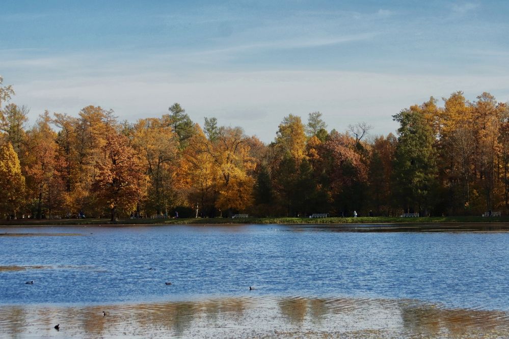 Photograph by Яна Егорова