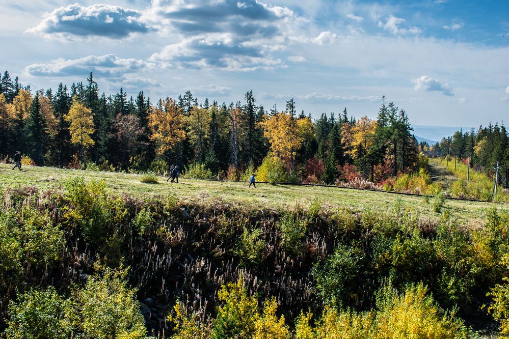 Photograph by Дмитрий Анисимов