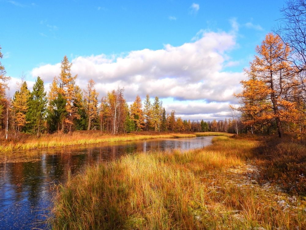 Фотография автора Мария Черница
