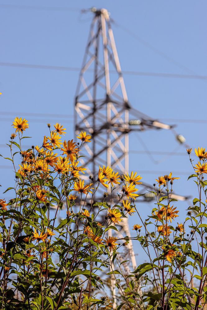 Photograph by Аня Проскурякова