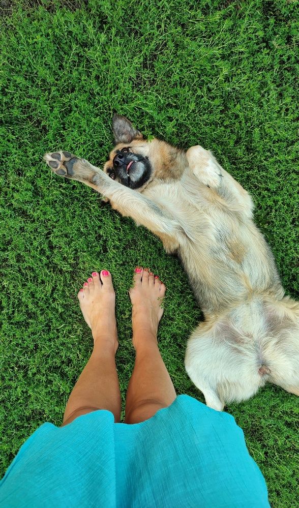 У меня лапки