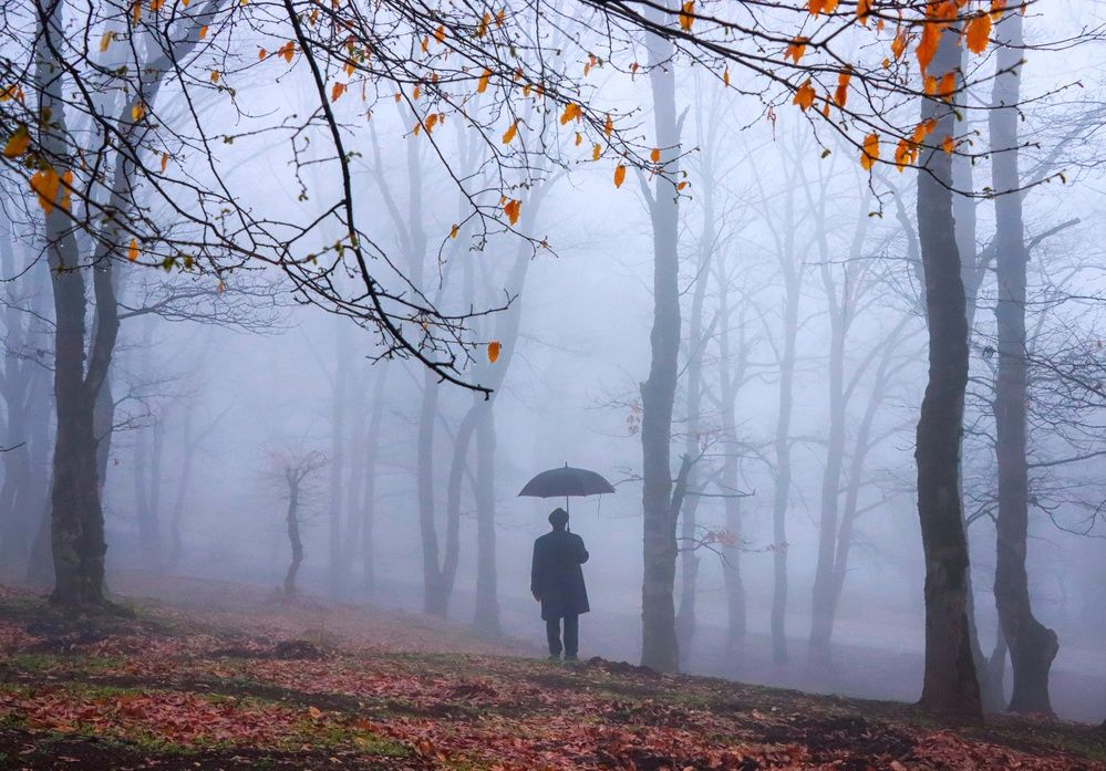 Alone in the fog