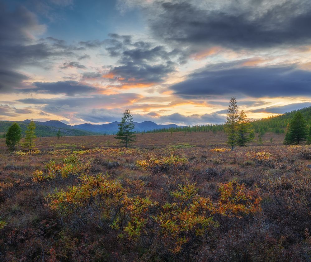 Photograph by Андреев Николай